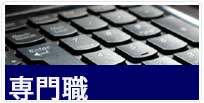 専門職…弁護士、公認会計士、税理士、司法書士、不動産鑑定士、土地家屋調査士等